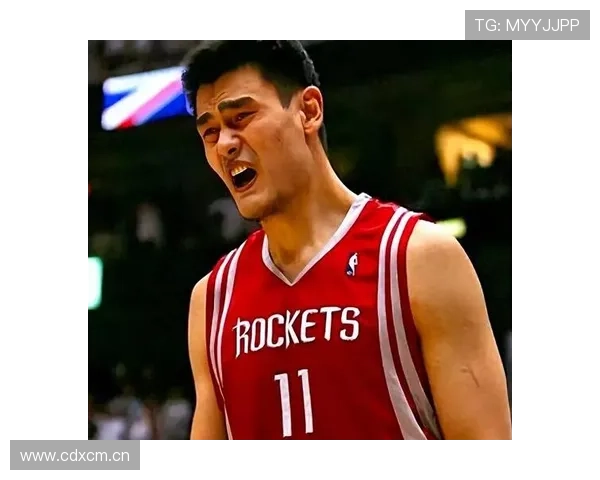 马布里与姚明的对决背后隐藏的故事与情感交织 马布里与姚明的对决背后隐藏的故事与情感交织