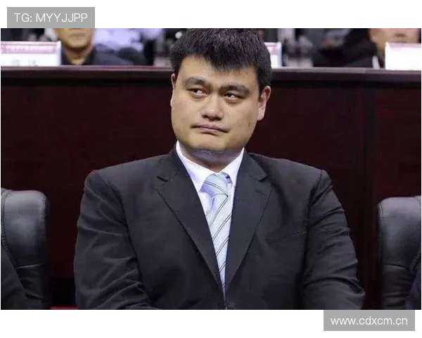 马布里与姚明的对决背后隐藏的故事与情感交织