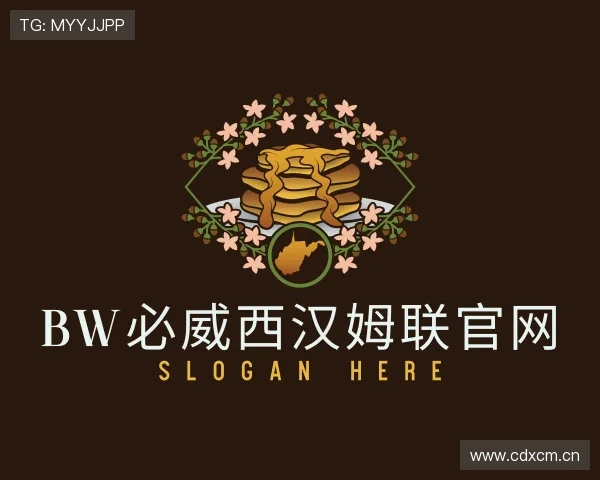 解读bw必威西汉姆